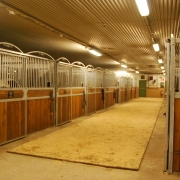 Skolans stall - här kan våra elever arbeta säkert med hästarna