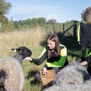 Naturbruk lantbruk får