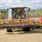 Naturbruk lantbruk tröska