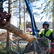 naturbruk lantbruk skog
