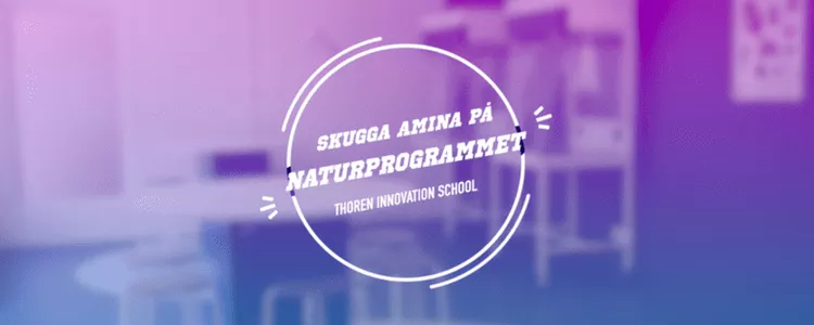 Naturvetenskapsprogrammet bakom kulisserna - Thoren Innovation School Helsingborg